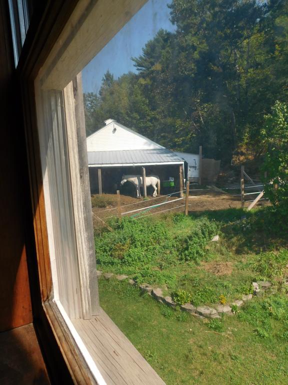 No View Farm Bed & Breakfast Rumford Eksteriør bilde