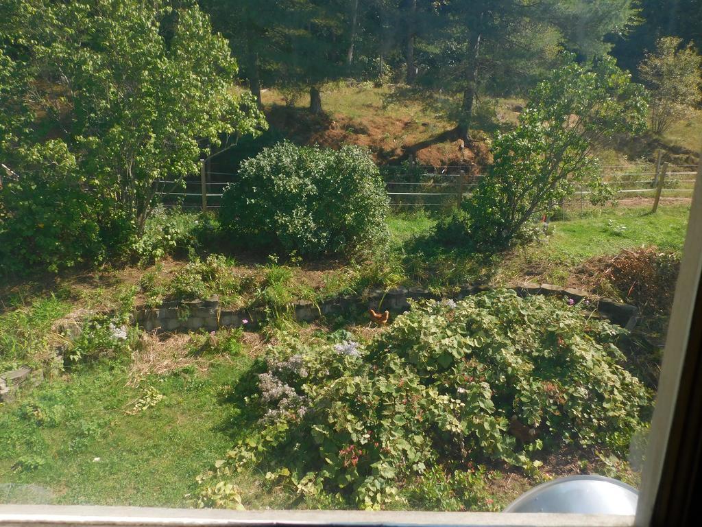 No View Farm Bed & Breakfast Rumford Eksteriør bilde